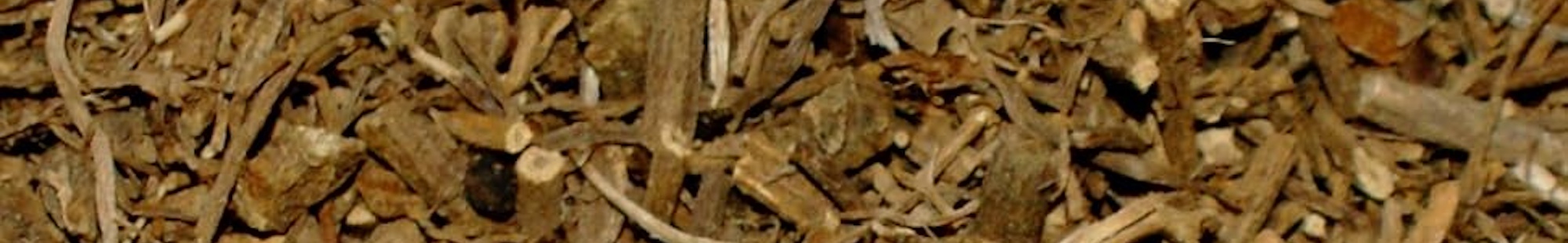 erbe officinali erboristeria zambrini Imola valeriana radice