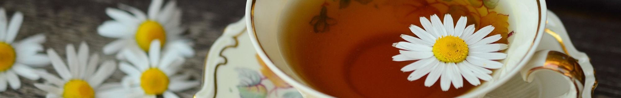 erbe officinali erboristeria zambrini Imola valeriana radice