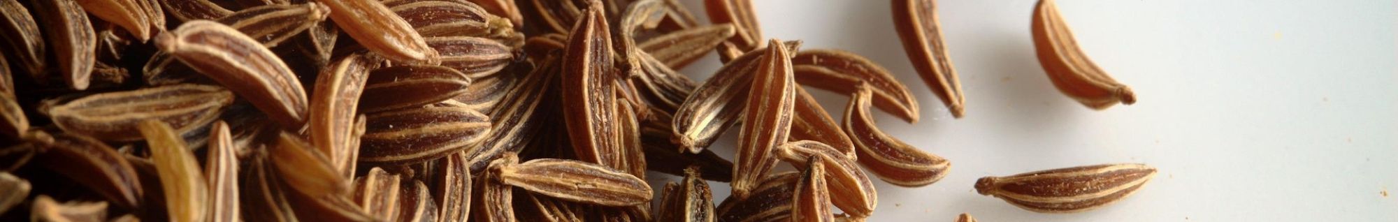 erbe officinali erboristeria zambrini Imola escolzia
