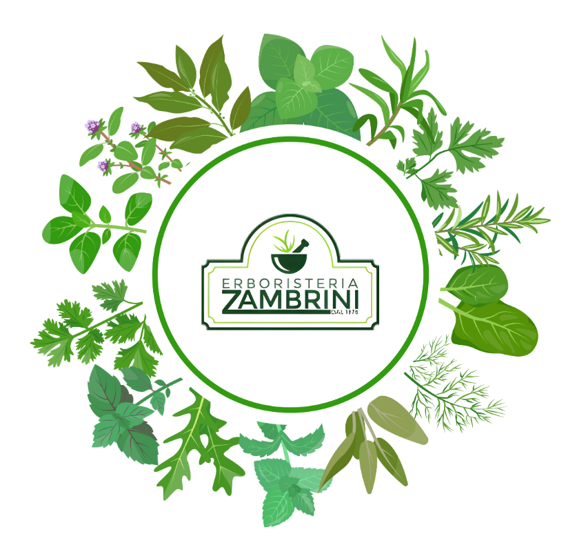 erbe officinali erboristeria zambrini Imola biancospino