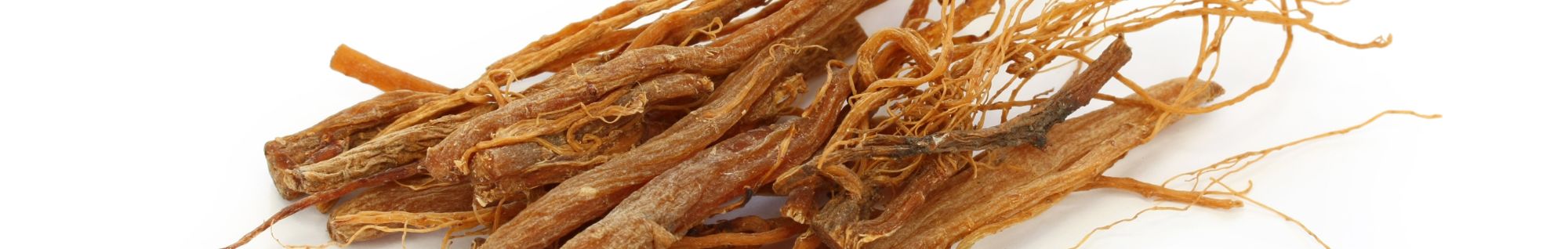 erbe officinali erboristeria zambrini Imola melissa