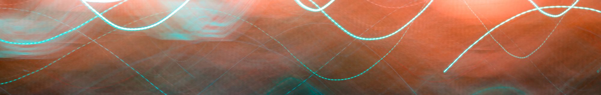 erbe officinali erboristeria zambrini Imola camomilla