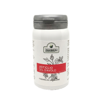 artiglio_del_diavolo_articolazioni_zambrini