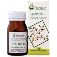 artikol-picc