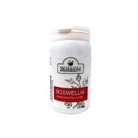 boswellia_578249413