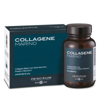 collagenemarino-gruppo