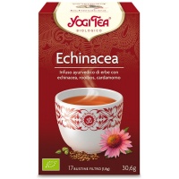echinacea_1527834173