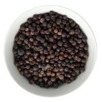 ginepro