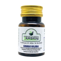 ginko_biloba_zambrini