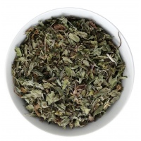 menta_piperita