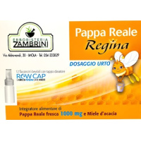pappa_reale_news