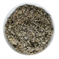 salvia