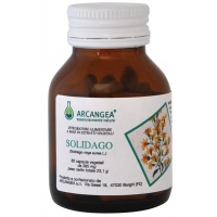solidago-cps-picc