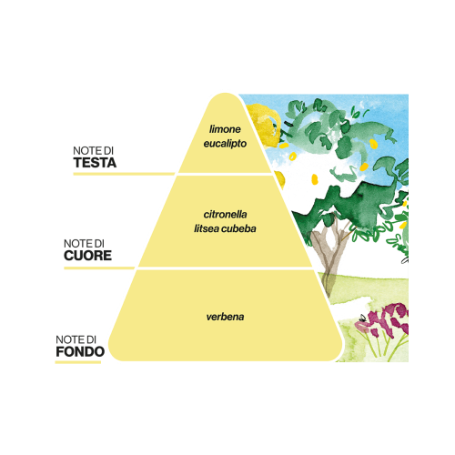 8056666130003_-_piramidi_olf_allagrumeto