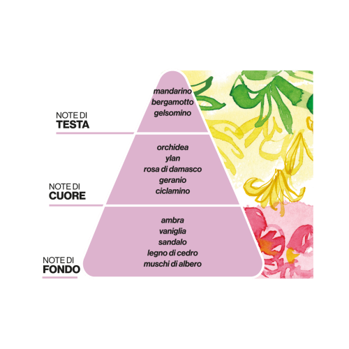 8056666130034_-_piramidi_olf__aurora_floreale