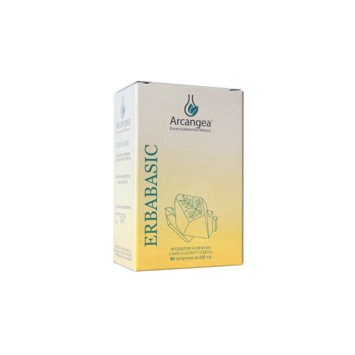 erbabasic-228x300