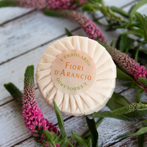 fiori_darancio_sapone_versione_2