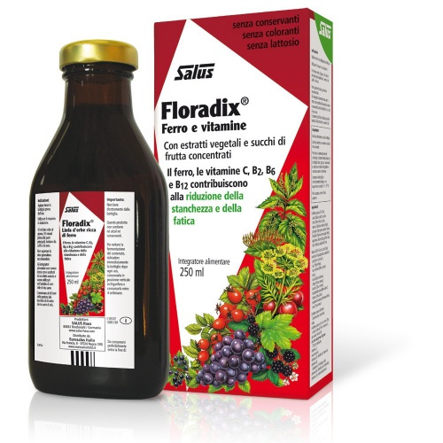 floradix250_1230530124