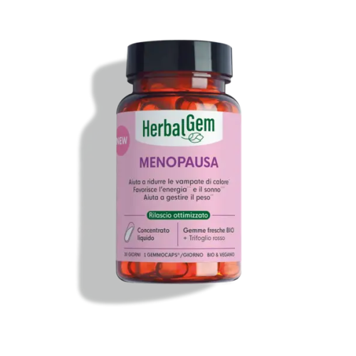 menopausa