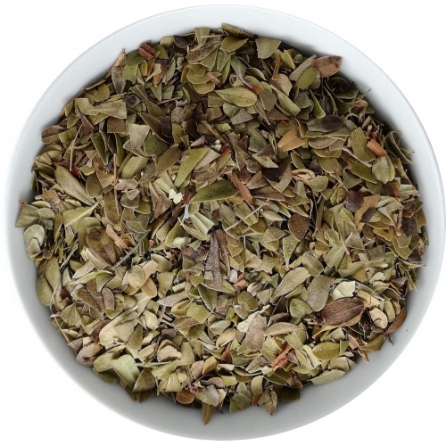 uva_ursina_976133870