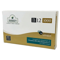 b12_1809863586