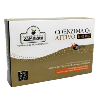coezimaq10